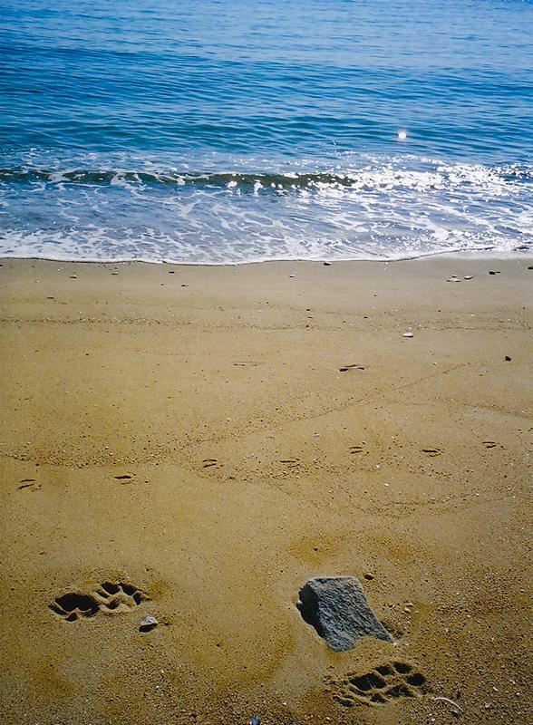 Impresii si Pareri Hoteluri Kavala